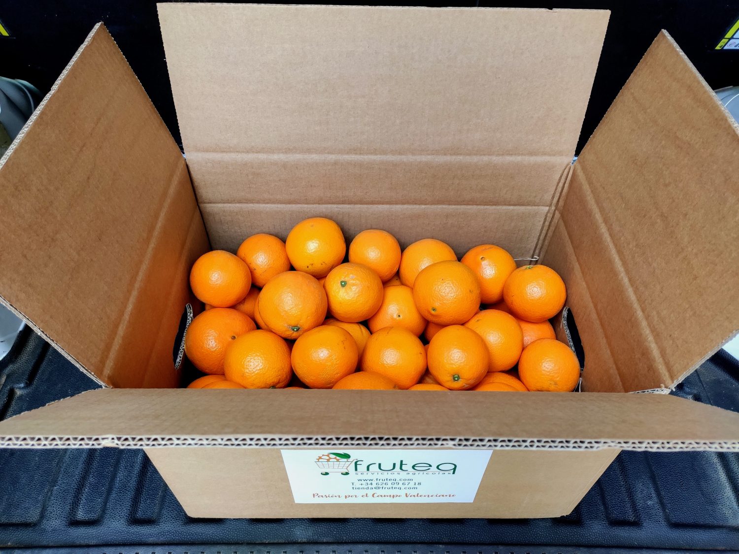 Naranja Powell Summer Navel - Imagen 4